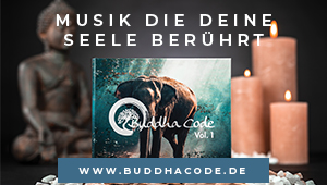 Buddha Code Buddha Code